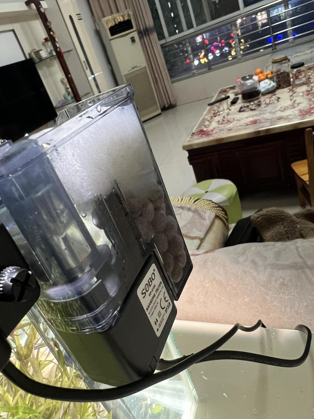 鱼缸半夜嗡嗡响,不一定是设备差:翻完近10万赞的静音帖和鱼友评论区,整理出这份0元起步的降噪清单