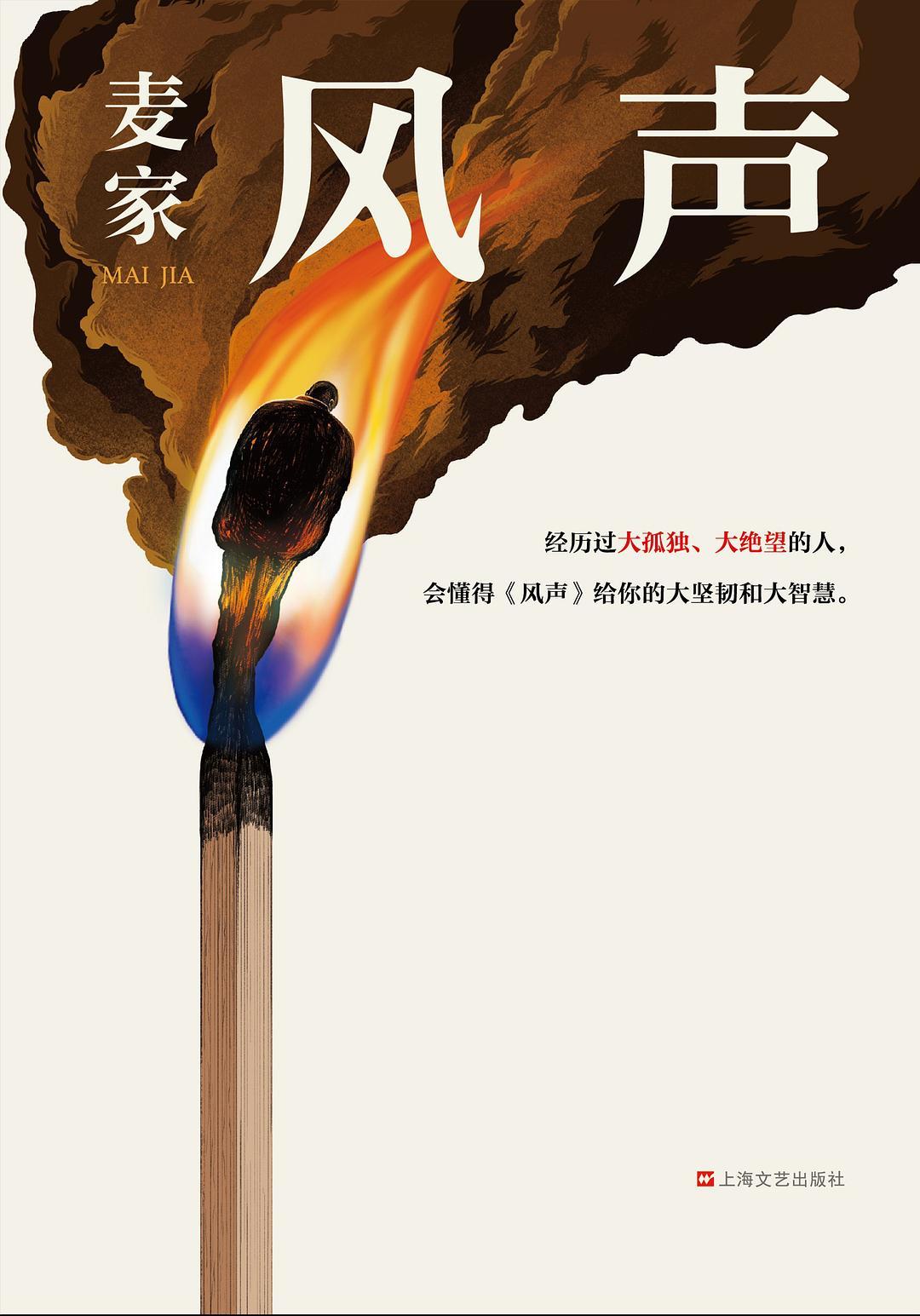 刷到的“麦家说”代表不了麦家:5部代表作、3个决策点,一篇讲透第一本麦家怎么选