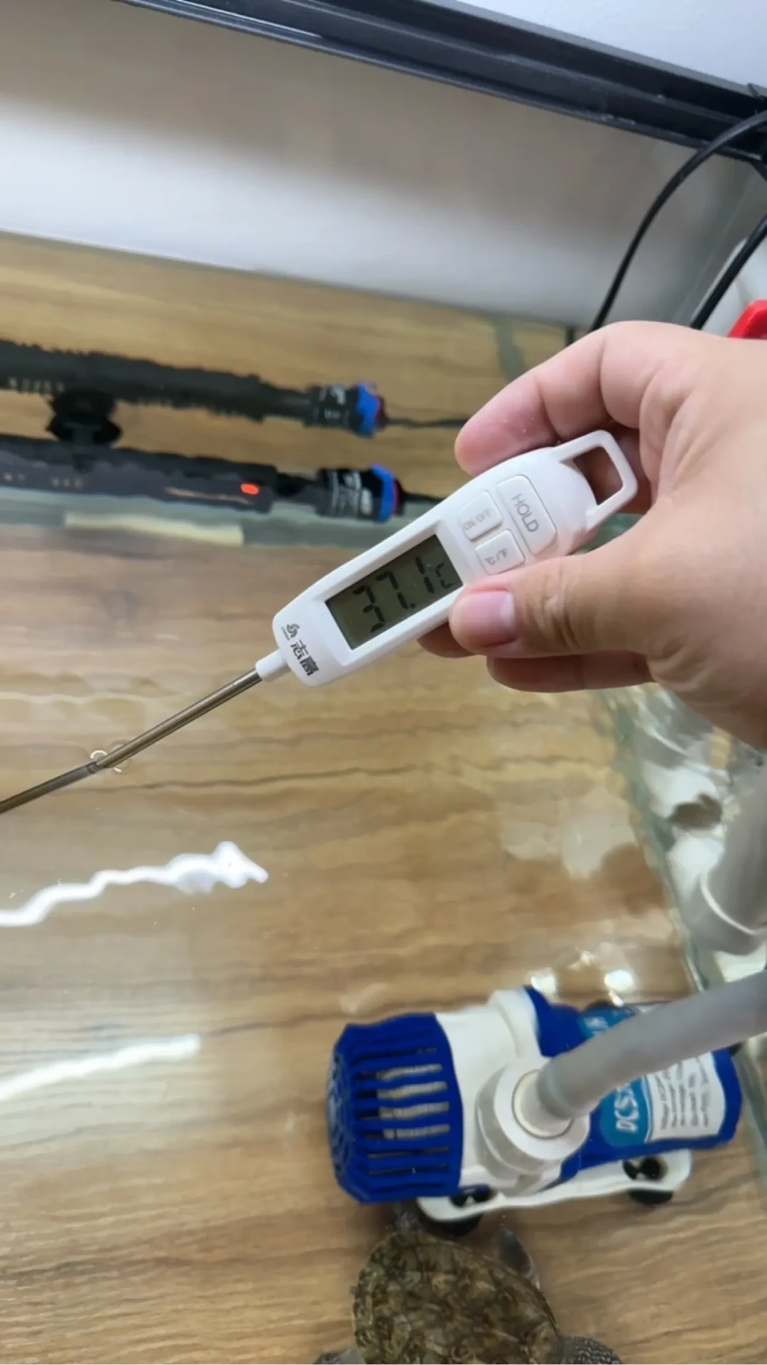 设29度水温直冲43.9度:标杆伊罕也被连续