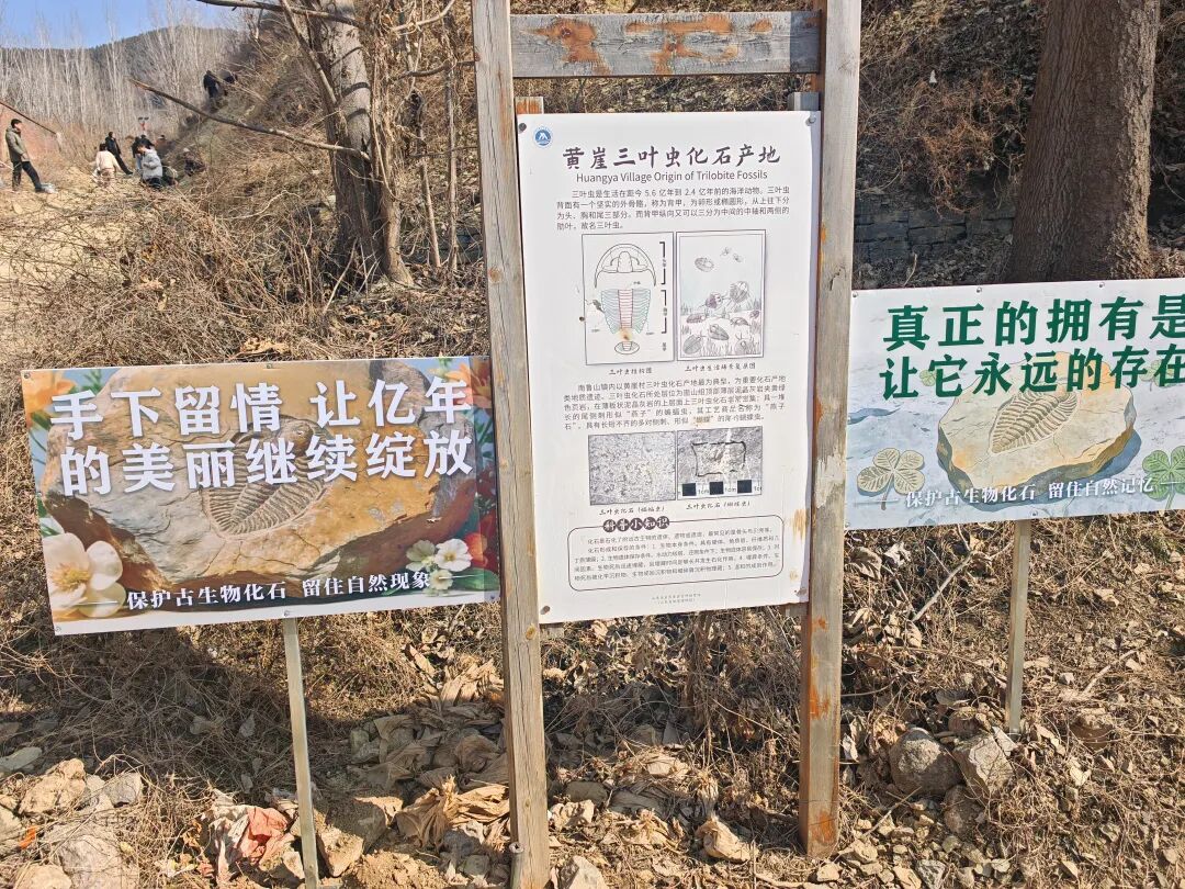 爆火的“化石盲盒”:国内敲结核地点实录,哪里能开、哪里已封、哪里碰不得