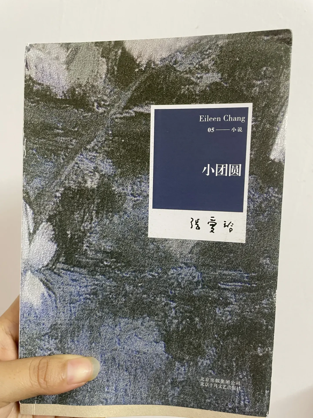 《小团圆》读不下去?不是你没耐心,是张爱玲本来就没打算把它写