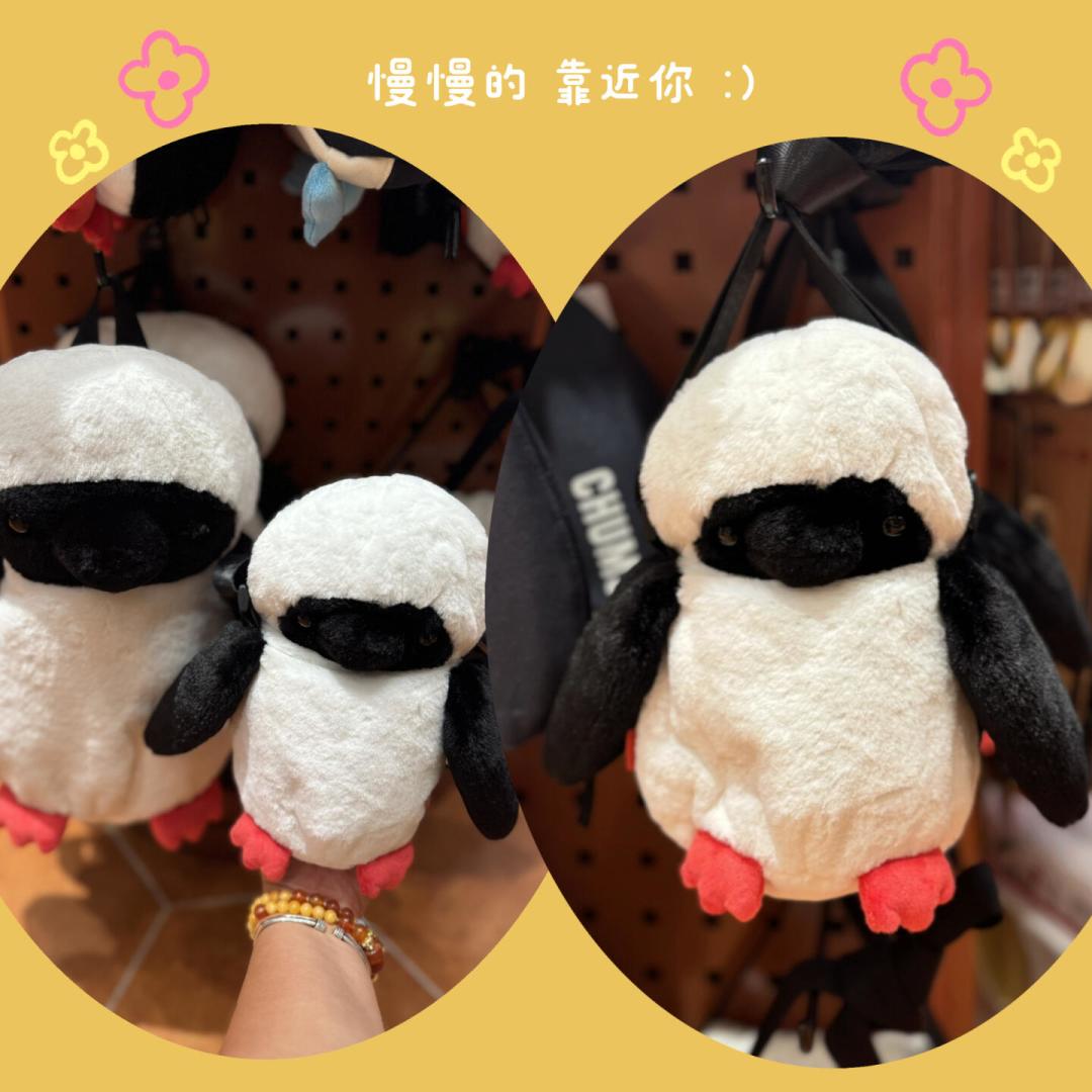 700元的露营椅现在卖200多,洽洽鸟CHUMS终于进入