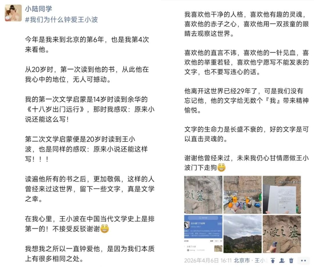 全国能真正“去看王小波”的地方只有两处:北京巨石墓与杭州王小波书店实地攻略,路线、花费与雷点一次讲清