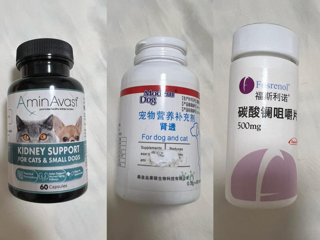 “老年”两个字,其实没有统一标准:老年猫换粮,看体况、看体检值、看磷
