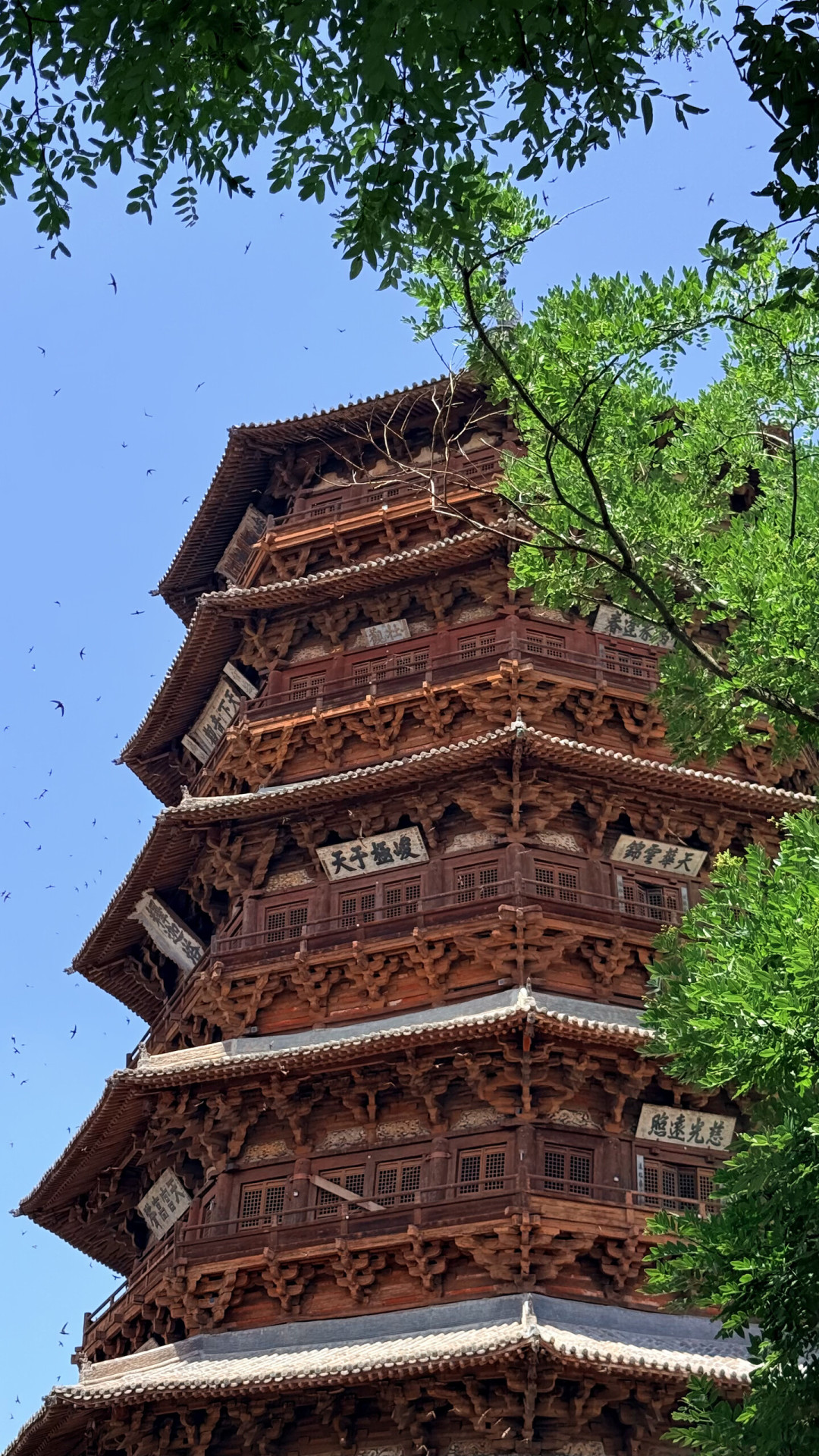 佛光寺要等黄昏,云冈大佛要等下午四点:山西古建摄影有张自己的时刻表