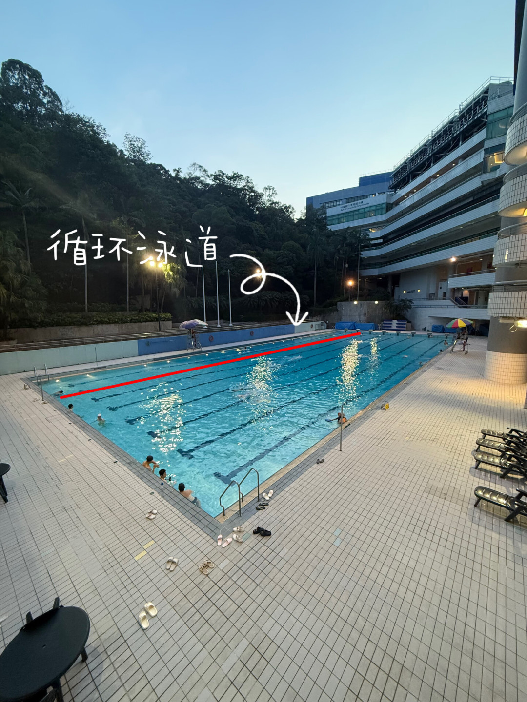 “水里走路比游泳更减肥？”9.2万赞的帖子爆火后，两位三甲医生说了实话：有用，但这类人别碰