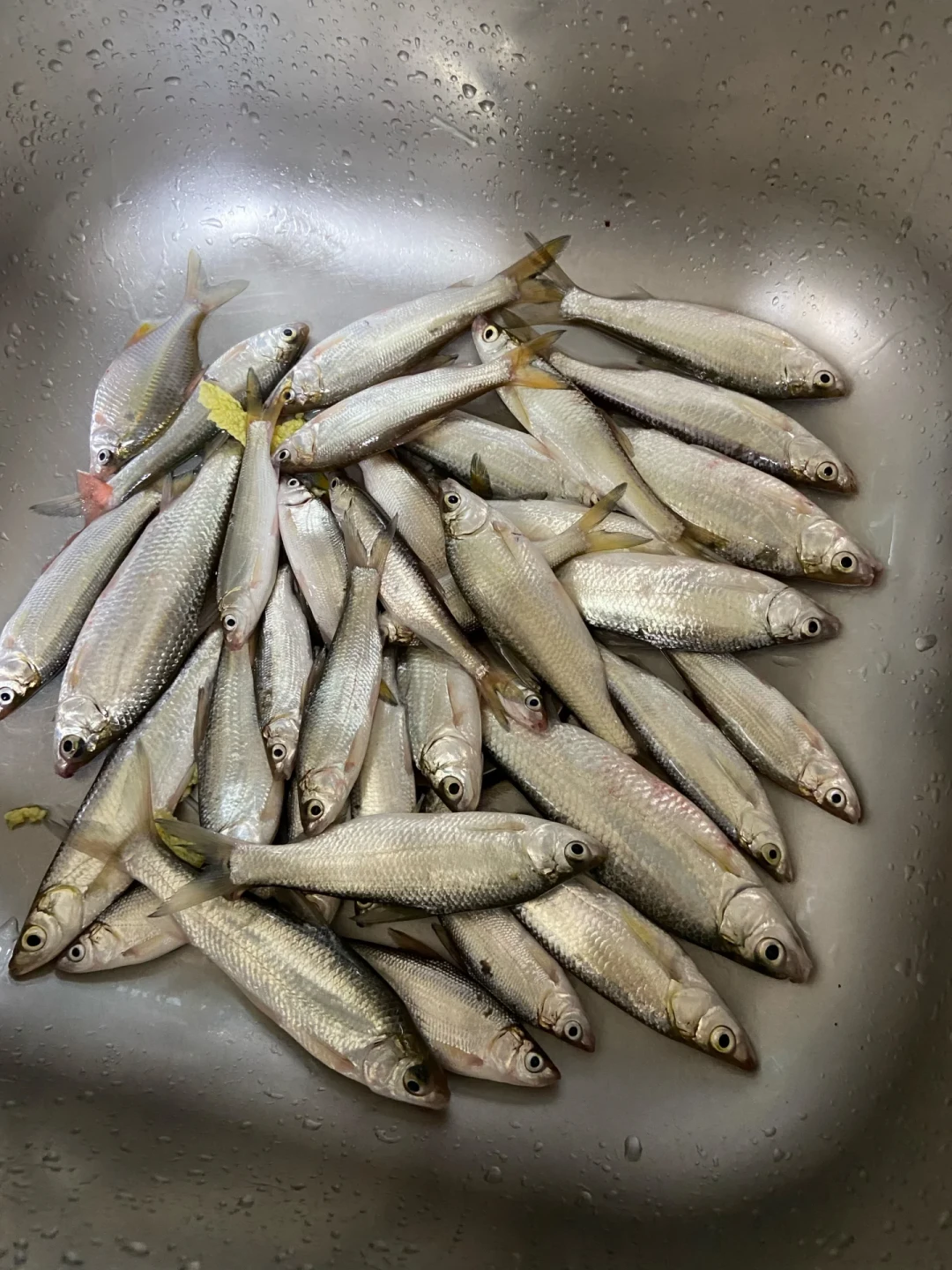 四台风共舞,刚出伏:路亚人本周下水前,先看这份时刻表
