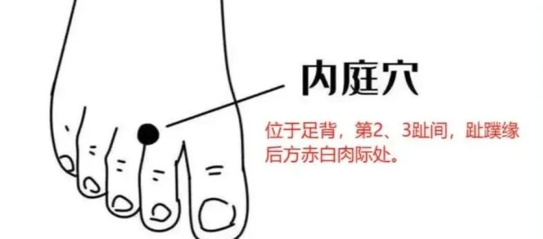 翻遍全网50篇胃经教程:真正要记住的,就这4个问题和3个禁忌