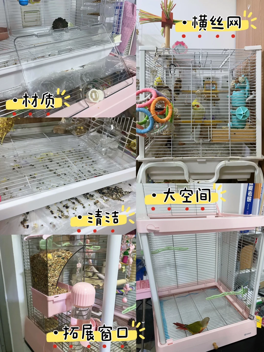 鸟才一百多,笼子却要三百?秋季接新鸟前,先把这笔账算明白