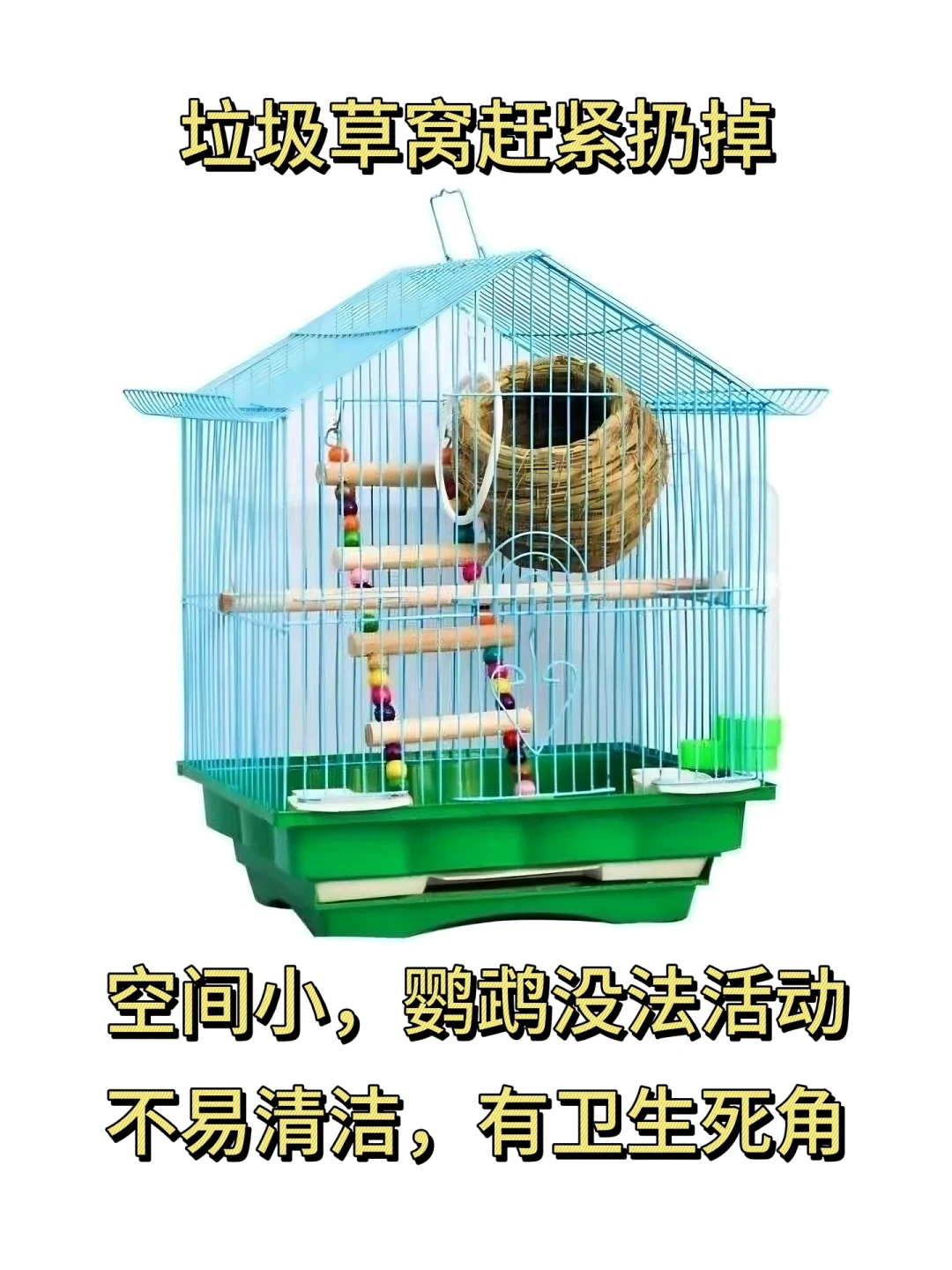 鸟才一百多,笼子却要三百?秋季接新鸟前,先把这笔账算明白