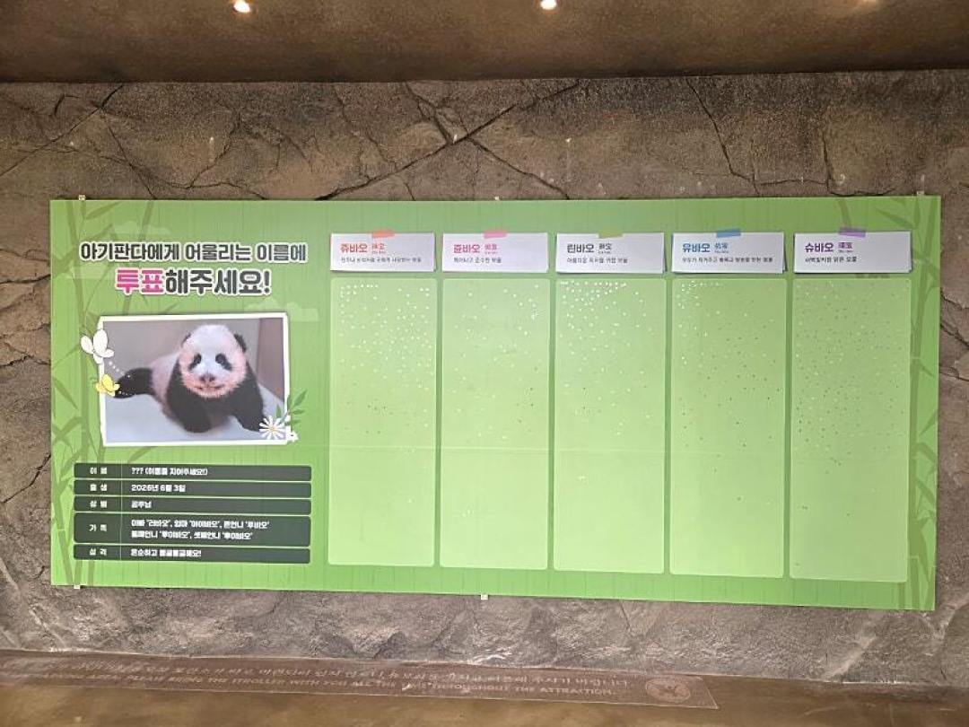 投票结束不等于取名结束：俊宝党从 8/30 到百天揭晓的观察清单