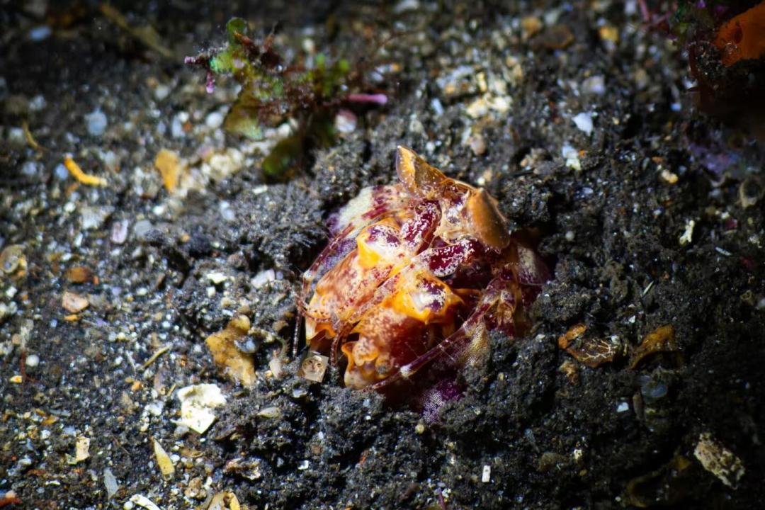 用塑料壳追mola到42米?海蛙防水壳的三笔账和坑,替你算清楚了