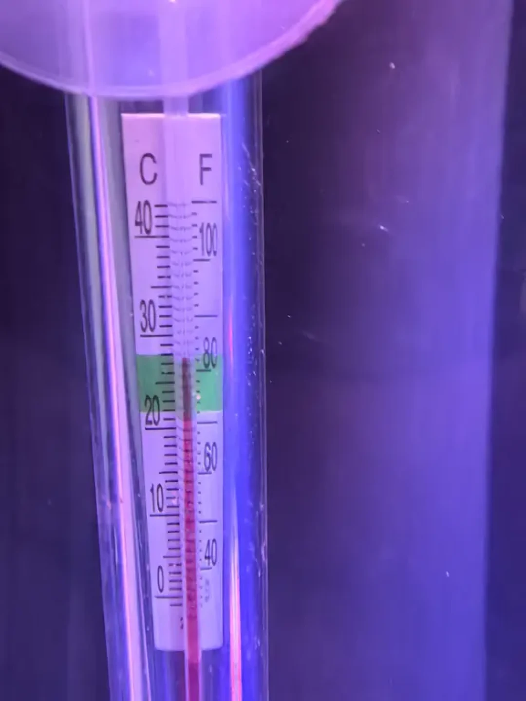 空调开一整天，鱼缸还卡在29℃：翻完这周鱼友的求助帖，热源基本就是这4样