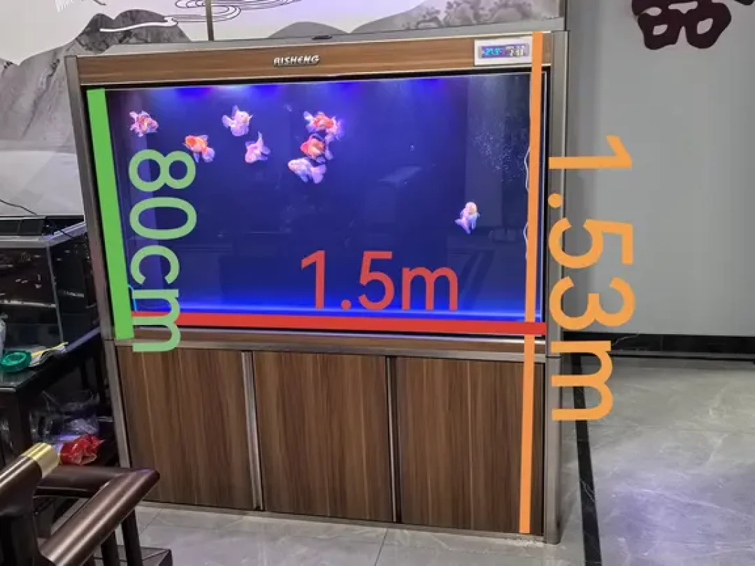 空调开一整天，鱼缸还卡在29℃：翻完这周鱼友的求助帖，热源基本就是这4样