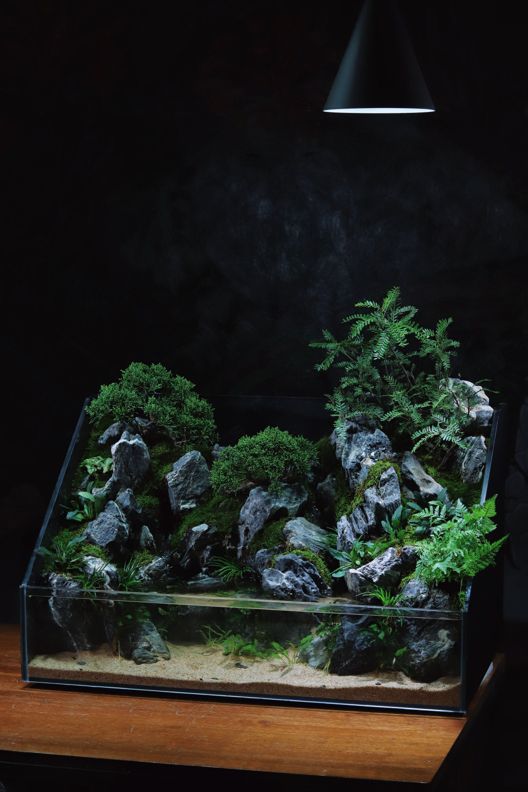 第一个鱼缸造景要花多少钱?翻遍全网真实开缸清单:三档预算,四种设备不必买