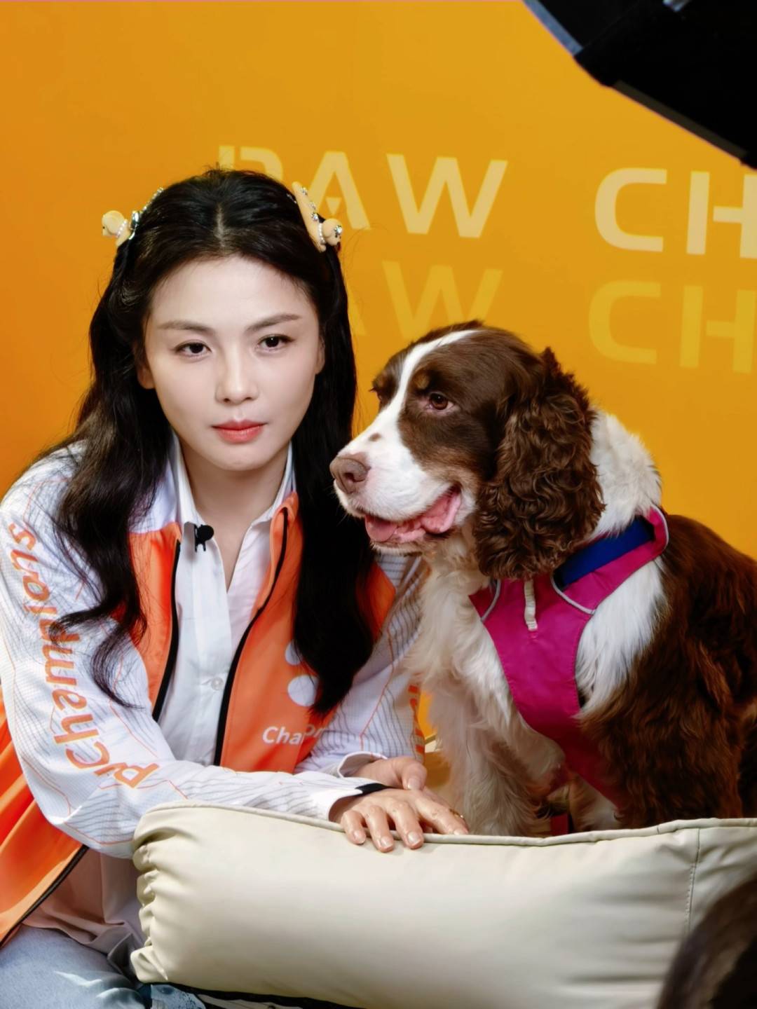 郑恺带着领养的中华田园犬冲进决赛:刘涛队拿下《加油!汪汪》猛士组冠军,但话题都归了大小姐