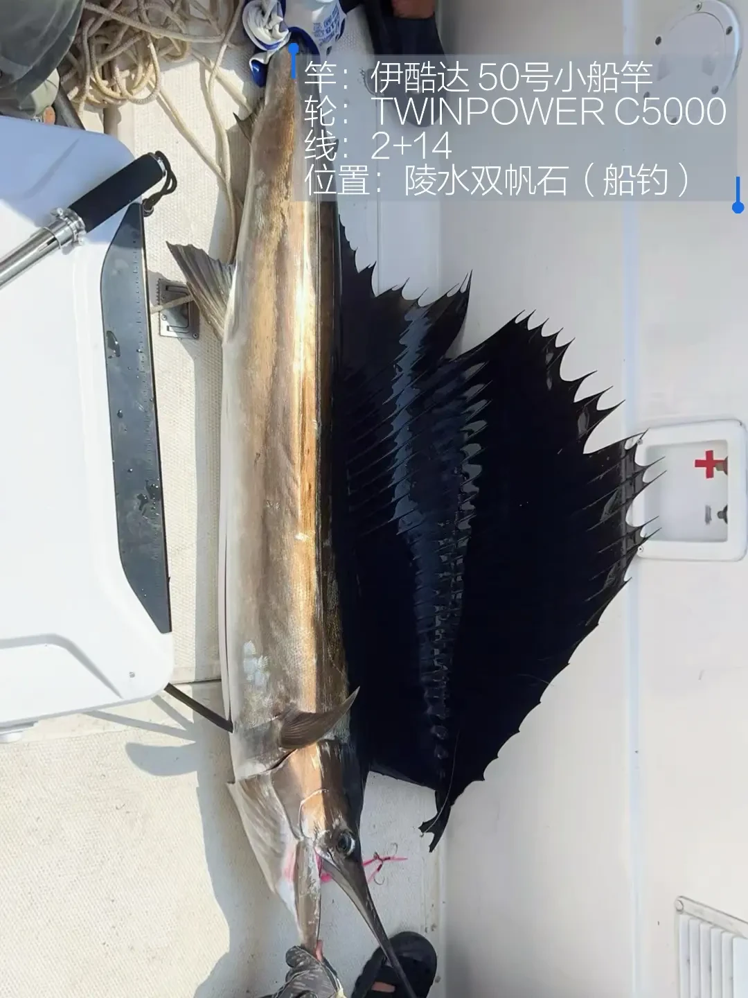 开海倒计时一周:手里的淡水轮真能直接下海吗?买新轮前把三件事想清楚