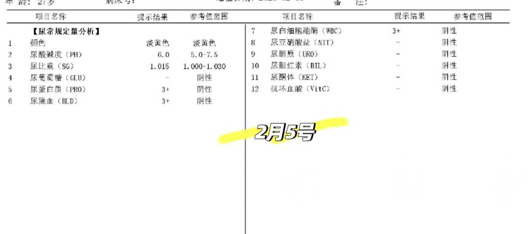 你自测的“肾虚”可能是肾“生病”了:秋冬进补季前,先做这个几十块的检查