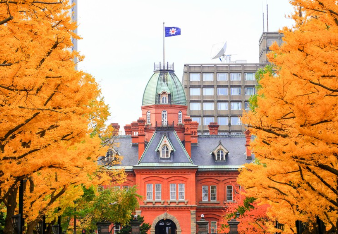 10月底札幌酒店涨价30%还订不到？不是红叶，是撞上两个演唱会周末