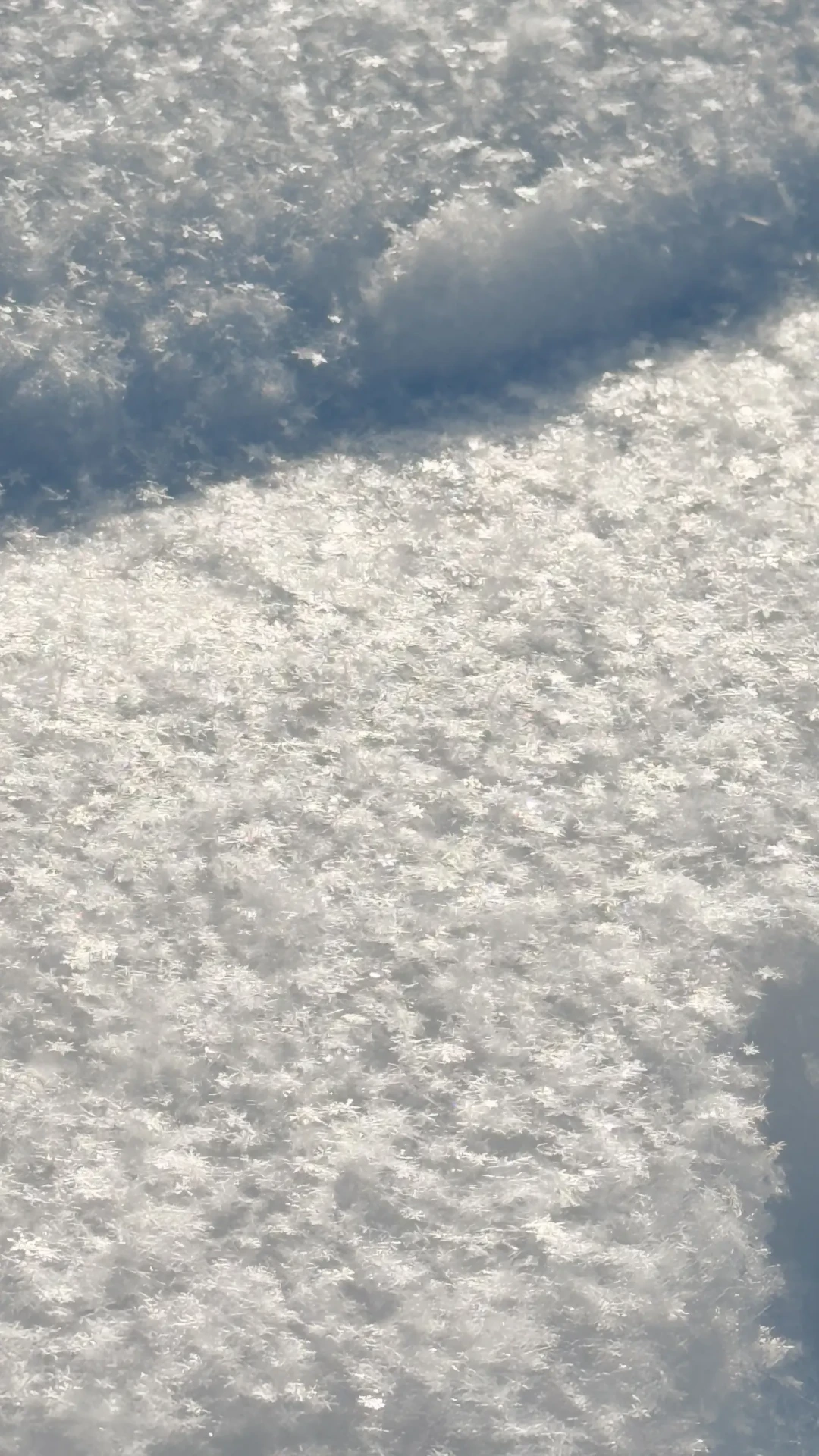 阿勒泰8月下雪，雪友开始倒数开板：新疆四大雪场怎么选、现在该锁什么