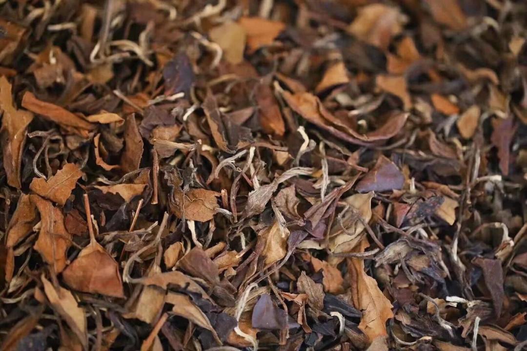 白茶不是越老越好喝:银针、牡丹、寿眉各有巅峰窗口