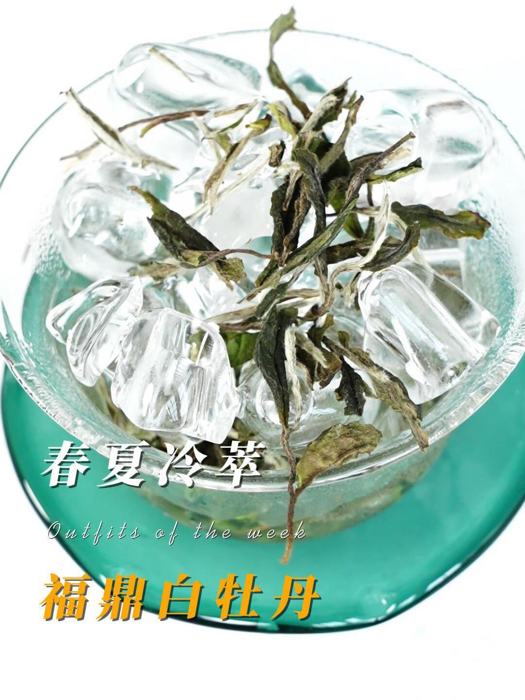 白茶不是越老越好喝:银针、牡丹、寿眉各有巅峰窗口
