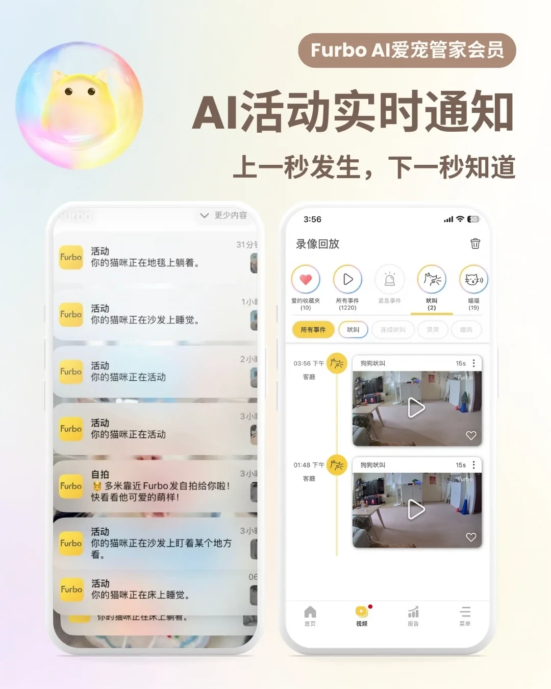 Furbo宠物摄像机259元活动价还送3个月会员,但会员到底要不要开?我把两派用户的真实体验都翻了一遍