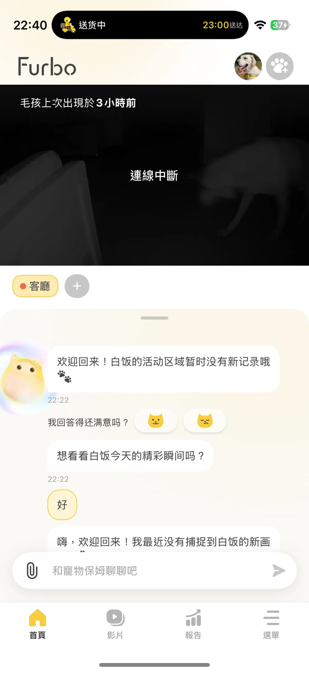 Furbo宠物摄像机259元活动价还送3个月会员,但会员到底要不要开?我把两派用户的真实体验都翻了一遍