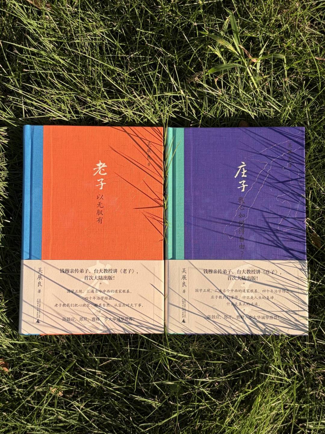 越内耗越想读《庄子》?先别买错书:四档版本选购指南+避坑清单,全网口碑帮你理清了