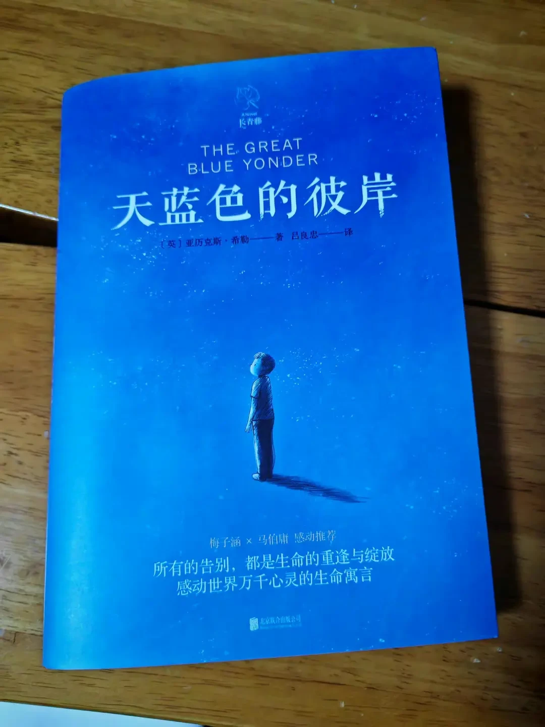 开学还有一周,《天蓝色的彼岸》进入作业季:把这本“死亡教育”书交给孩子前,先弄清四件事