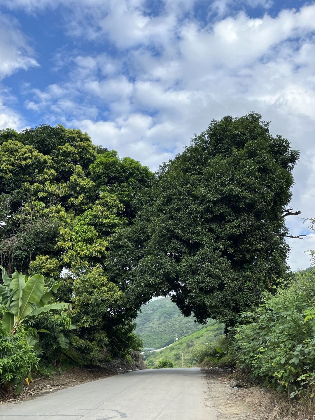 过冬旅居看房窗口已开启:9个候选城市的气候、租金、医疗对比,附远程租房避坑四条