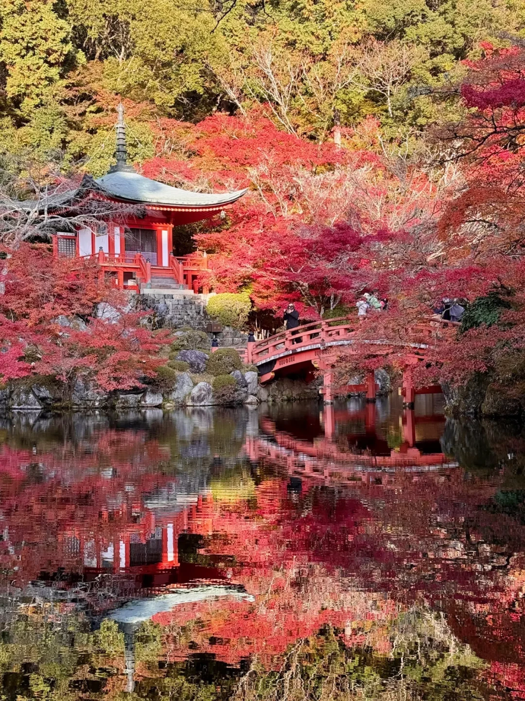 京都红叶季进入预订深水区：机票比去年贵出一倍，热门日期酒店一万一晚，现在动手还来得及吗
