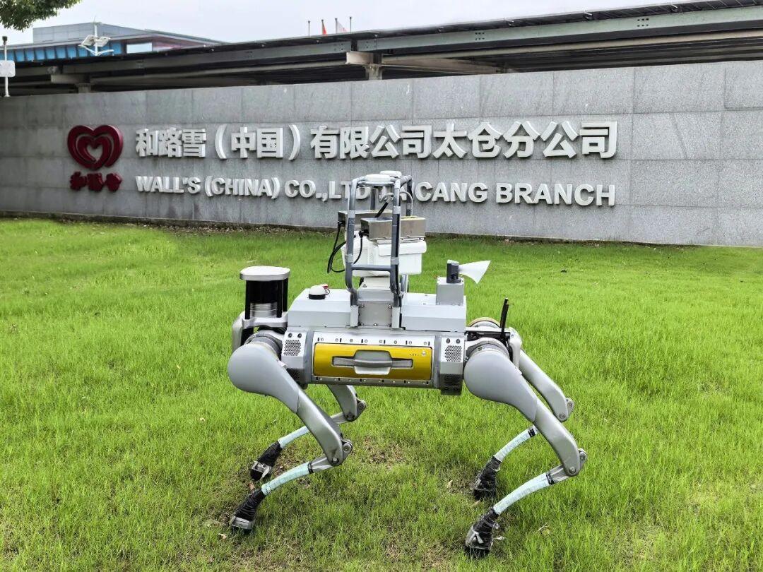 梦龙分拆后首份半年报:便宜的梦龙为啥正批量出现在零食店,8月底是不是囤货好时机