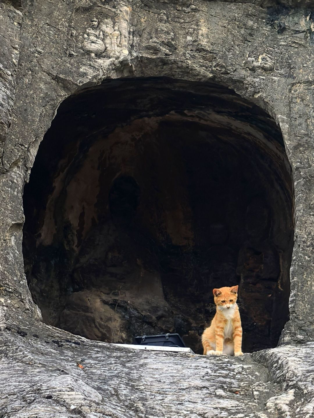 麦积山因