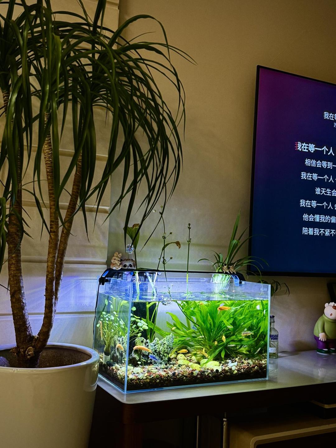 鱼缸电费账:有人每月多花十几块,有人多花500+:翻完鱼友们晒的账单,真正的