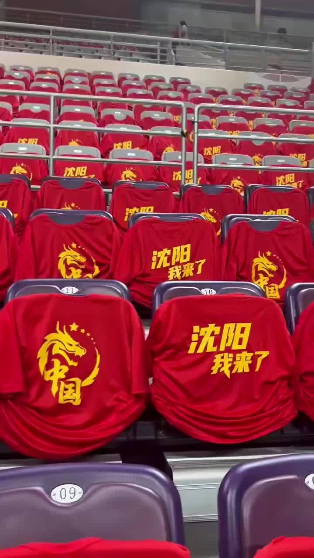 杨鸣卸任后的7个月:5个身份全都安排上了,唯独