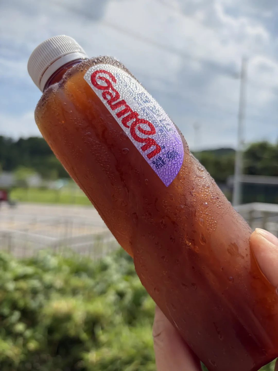冷泡黑茶今年夏天爆了，但选错茶第一杯就翻车：六堡、天尖能泡，砖茶别碰