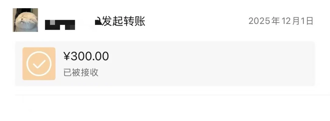 骗捐250万,只有3000元花在狗身上:给流浪动物捐爱心前的避坑清单和靠谱渠道