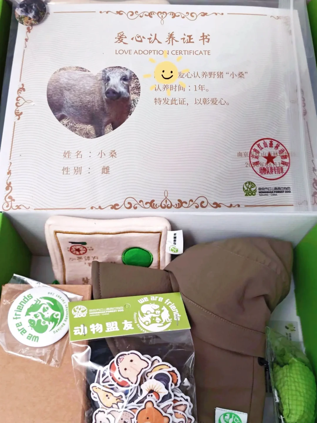 骗捐250万,只有3000元花在狗身上:给流浪动物捐爱心前的避坑清单和靠谱渠道