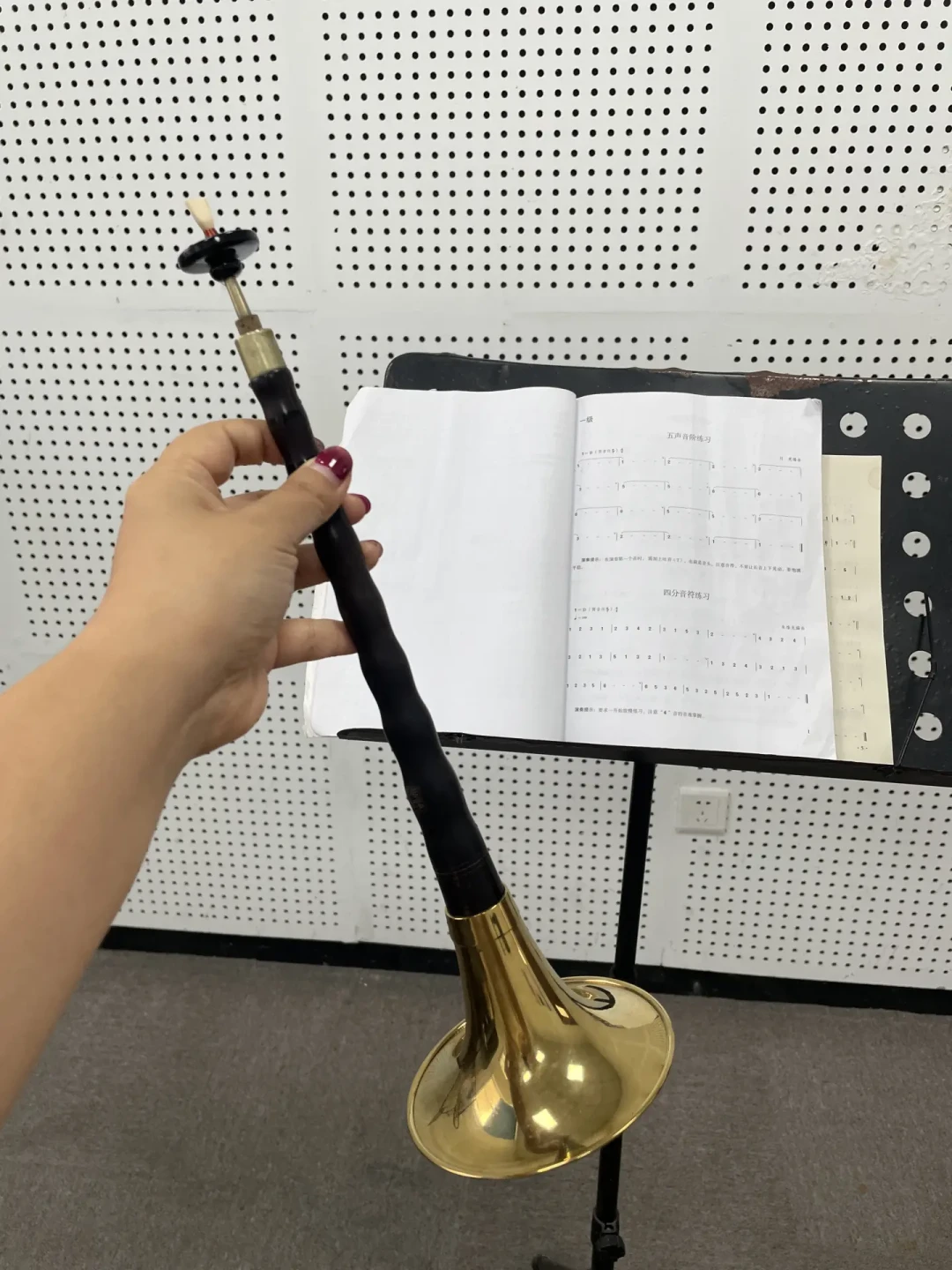 “宗门圣体”男孩20天学会10首曲子刷屏:学唢呐到底花多少钱,这笔账算明白了,心动前先看完