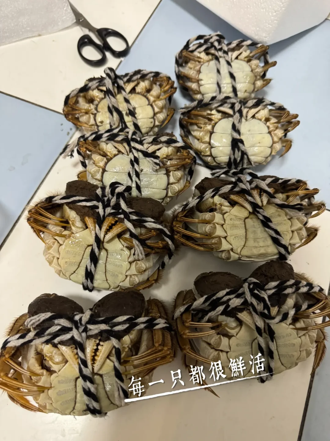 蟹卡8月就开打价格战了:6888型卖259元,翻完十年踩坑案例和新规才发现,自用是亏,送礼得先问三句话