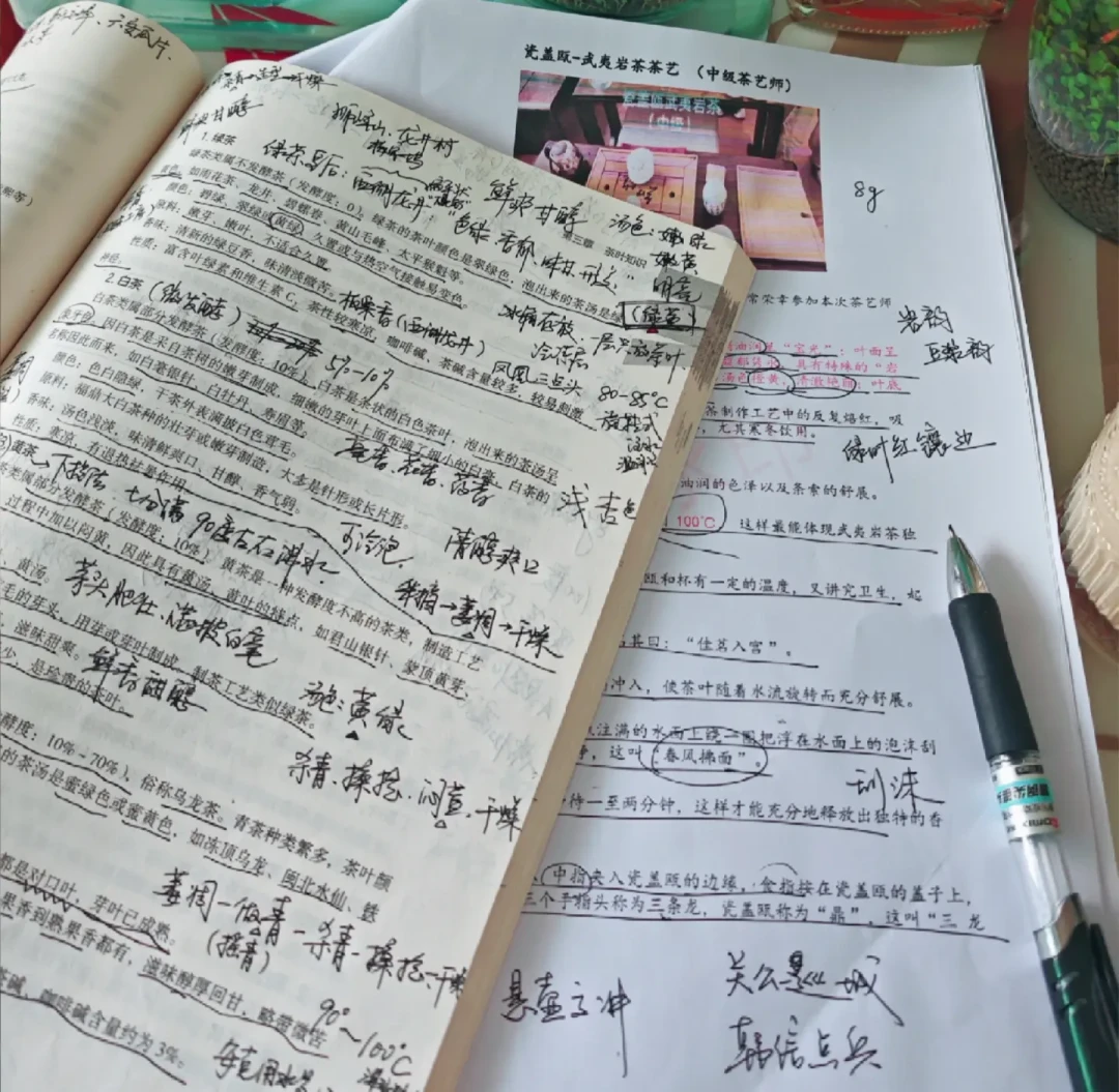 一半人喊“免费拿证+国家补贴”，一半人骂“巨大骗局”：对了约60篇茶艺师证帖子，我才搞懂这笔钱该怎么花