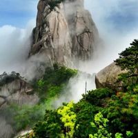 自用空管N支的增生疤痕膏都在这了，术后凸起发硬党来看看