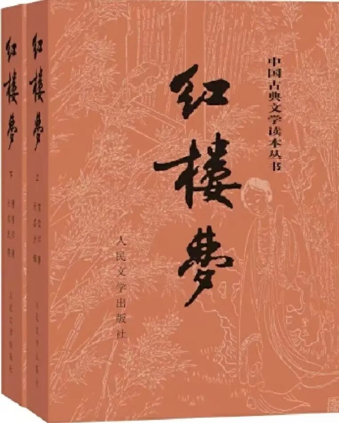 《乡土中国》《红楼梦》高一必读:“学校指定版本”多是话术,两本书20—50元就够