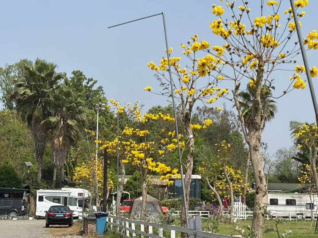 房车营地150-250元一晚被骂比酒店贵:算完营地主的账,发现问题不在价格