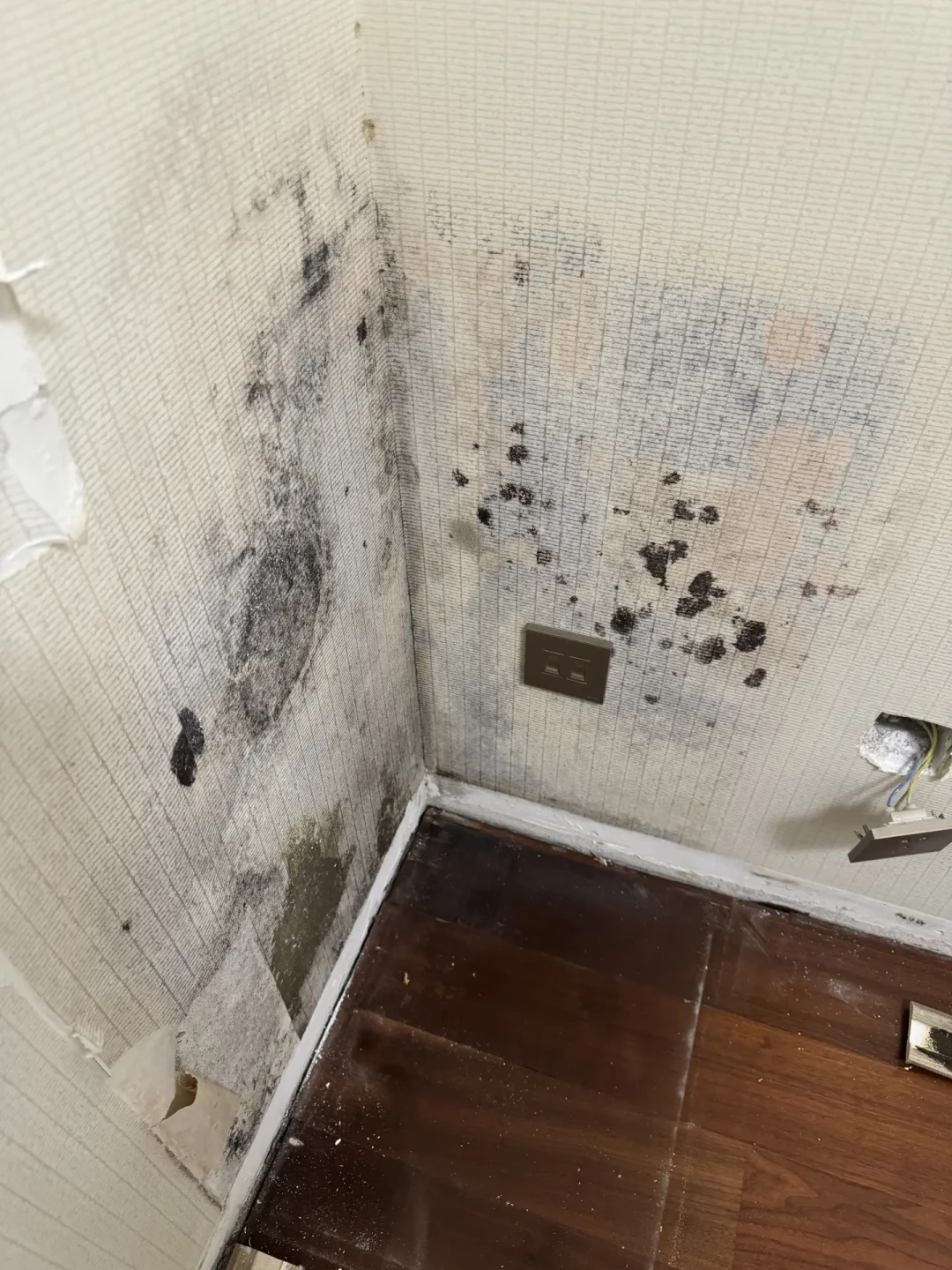 拆榻榻米的帖子接连出现,抄作业帖还在拿6万收藏:对比完两派30多篇帖子,我把值不值得做整理成了5个变量