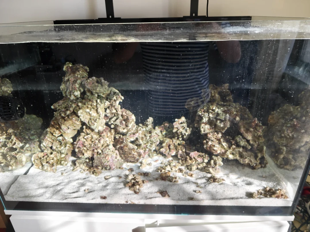 三伏过后想下海?先把这笔开缸账算清楚:400元能入门,但这几笔钱省了就是交学费