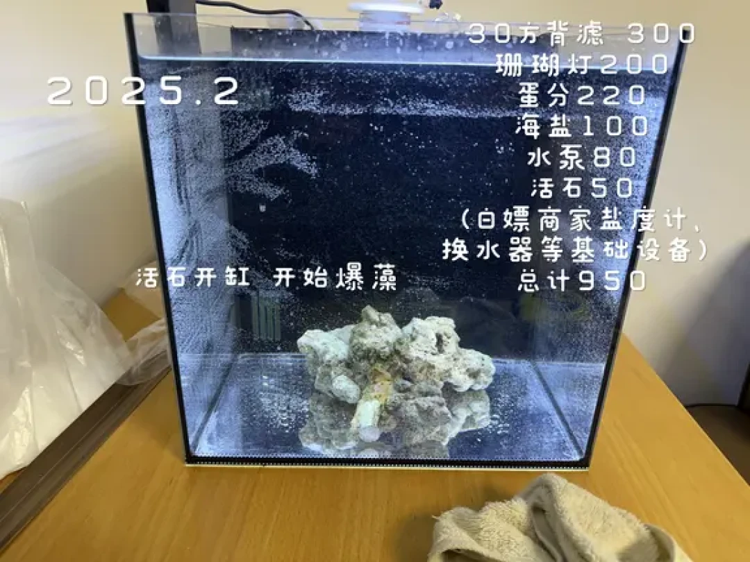 三伏过后想下海?先把这笔开缸账算清楚:400元能入门,但这几笔钱省了就是交学费
