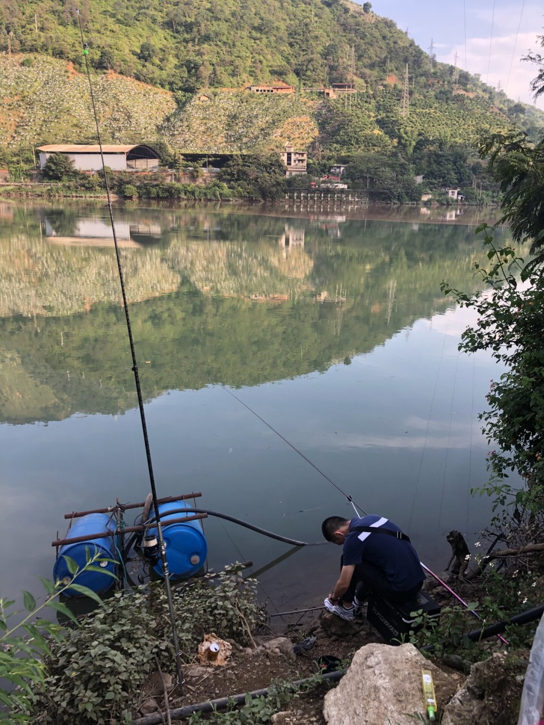 别急着为“46T高碳”掏钱:我翻了三个平台的十几篇装备攻略,把野钓鱼竿的真实价格带理出来了