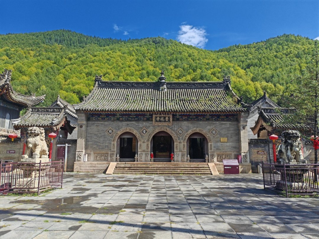 你收藏的《悟》是丁元英版,方丈改的是另一首:我把全网“完整版五台山论道”对回了原著